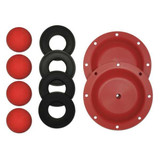 Sandpiper Pump Repair Kit,Santoprene,For 15U531 476.255.354