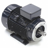 Marathon Motors GP Motor,2 HP,1,745 RPM,230/460V AC,90L 090LT17FH6419