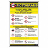 Ghs Safety Wall Chart,Chemical/HAZMAT Training GHS1010