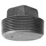 Anvil Square Head Plug, Malleable Iron, 1/4 in 0318901485