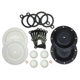 Sandpiper Pump Repair Kit,PTFE,For 29AU45 476.117.600