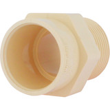 Charlotte Pipe 1 In. Male Thread to CPVC Adapter CTS 02109  1000HA