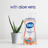 Dial Antibacterial Defense 7.5 Oz. Citrus Sunburst + Aloe Foaming Hand Wash 2138225 604923