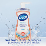 Dial Antibacterial Defense 7.5 Oz. Citrus Sunburst + Aloe Foaming Hand Wash 2138225 604923