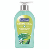 Softsoap® Antibacterial Hand Soap, Fresh Citrus, 11.25 Oz Pump Bottle US03563A