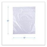 BAG,2GAL SIZE,100,CLR