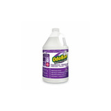 OdoBan® DISINFECTANT,ODO BAN,GL 911162-G4