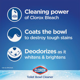 Clorox 24 Oz. Toilet Bowl Cleaner With Bleach