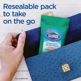Clorox Fresh Scent Disinfecting Cleaning Wipes Pouch (9-Count) 01665 621991