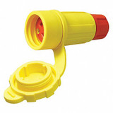 Ericson LckCon,20 A;Yellow,Elstmr,L15-20R 2422-CW6P-AM