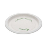 PLATE,COMPOSTABLE,6",WH