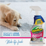 OdoBan 32 Oz. Pet Oxy Stain Remover Carpet Cleaner