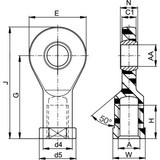 Igus Female Rod End,RH,7/16 in Bore,7/16"-20 EBRI-07 R