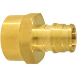 Apollo Retail 1/2 In. Barb x 1/2 In. FNPT Brass PEX-A Adapter EPXFA1212