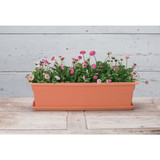 Novelty Countryside 24 In. Terra Plastic Flower Box Tray