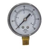 Pic Gauges Pressure Gauge,Nominal 2-1/2" Dial SEP-101D-254D-BSPT