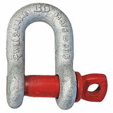 Crosby D-Shackle,6,500 lb Load Cap,Carbon Steel 1019258