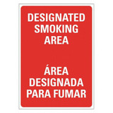 Lyle No Smoking Sign,14 inx10 in,Plastic  LCU1-0175-NP_10x14