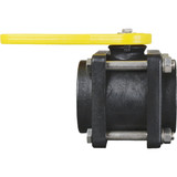 Apache 2 In. Polypropylene Ball Valve 49030010