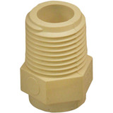 Charlotte Pipe 1/2 In. Male Thread to CPVC Adapter (10-Pack) CTS 02109C 0600HA