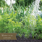 Preen 5 Lb. Ready To Use Granules Natural Vegetable Garden Weed Preventer 2464153 739962
