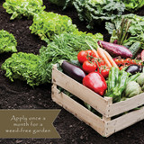 Preen 5 Lb. Ready To Use Granules Natural Vegetable Garden Weed Preventer 2464153 739962