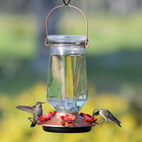 Perky-Pet Crystal 28 Oz. Glass Top-Fill Hummingbird Feeder