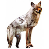 Bird-X Coyote Decoy,20 in H,Brown/White COYOTE