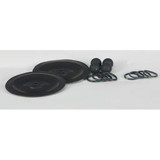 Dayton Pump Repair Kit,TPV,For 22A597; 3HJW7 22A611