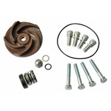 Dayton Pump Repair Kit,For 2ZWN9A 21TG36