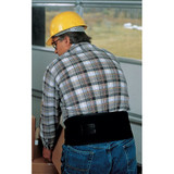 Condor Back Support w/Foam Core,Black,Buckle,L 3RUW6