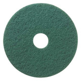 Tough Guy Scrubbing Pad,19 in Dia,Green,PK5 402W30