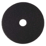 Tough Guy Stripping Pad,16 in Dia,Black,PK5 402V99