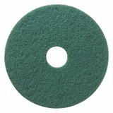 Tough Guy Scrubbing Pad,16 in Dia,Green,PK5 402W29