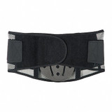 Condor Back Support with Lumbar Pad,Black,M 1M704