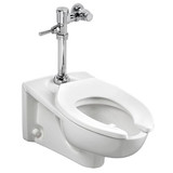 American Standard Exposed,Manual Flush Valve,Top Spud 6047111.002