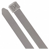 Ty-Rap Cable Tie,10 in,Silver,PK10 SS10-180-10