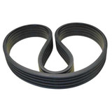 Dayton Banded V-Belt,5/B158,161in 13W308