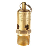 Conrader Air Safety Valve,1/2" (M) NPT Inlet SRV390-12-150 SST