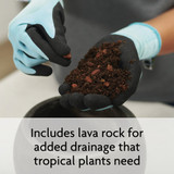 Miracle-Gro 6 Qt. Tropical Potting Mix 71276430 747285