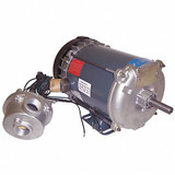 Marathon Motors Motor,1/3 HP,1725 rpm,56,115/208-230V 056C17G15521