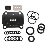 Versa-Matic Repair Kit,Air,For 22A401,22A404,22A406 476.V043.000
