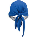 Ergodyne Dew Rag,Blue,Universal 6615