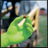 Showa Disposable Gloves,Nitrile,L,PK100 7705PFTL