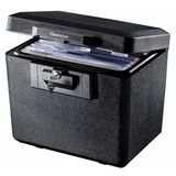Sentry Safe Safe,Key,Steel,0.61 cu ft 1170