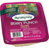 Morning Song 11.75 Oz. Berry Suet 11430 Pack of 12