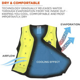 Ergodyne Dry Cooling Vest,Lime,72 hr.,2XL 6685