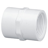 Westlake Pipe & Fittings Coupling,PVC,1/2 in,FNPT,SCH 40,White 430005BC