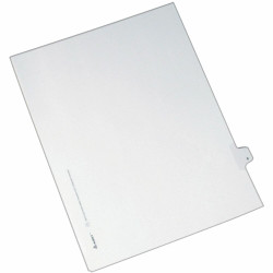 Avery&reg;  Index Divider 82204