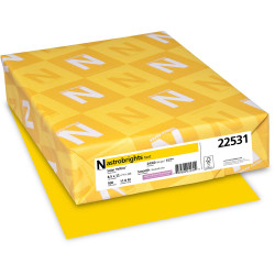 Astrobrights  Colored Paper 22531